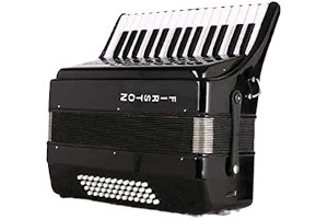 Acordeon 48 Bajos 414ZgAFZAaL._AC_UL320_