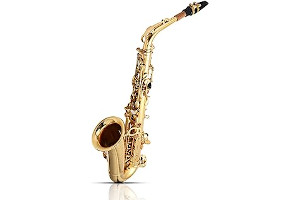 Saxo Alto Jupiter Jas500Q 61IWYRfuCAL._AC_UL320_