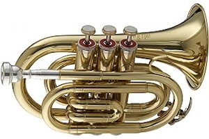 Trompeta Stagg 61OzJt4PmmL._AC_UL320_