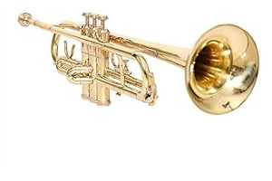 Trompeta Bb 61qsDRTlwHL._AC_UL320_