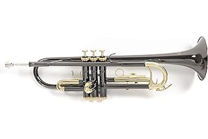 Sanganxa Trompetas 71pQQMMONlL._AC_UL320_