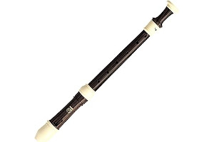 71ugcyBQdHL._AC_UL320_